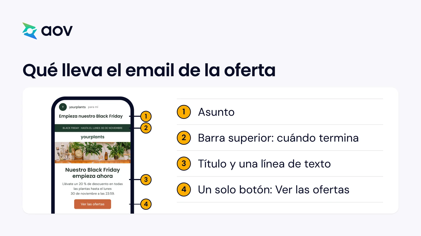 Un móvil muestra un email de Black Friday de una tienda de plantas, con cuatro partes numeradas desde el asunto hasta el botón