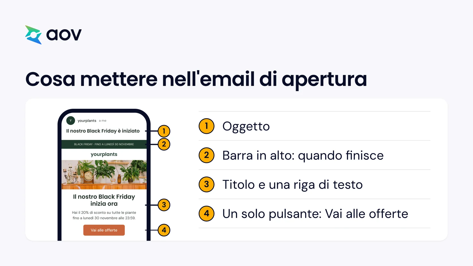 Un telefono mostra un'email del Black Friday di un negozio di piante, con quattro parti numerate dall'oggetto al pulsante