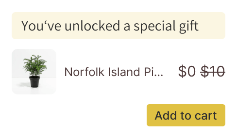 gift purchase campain